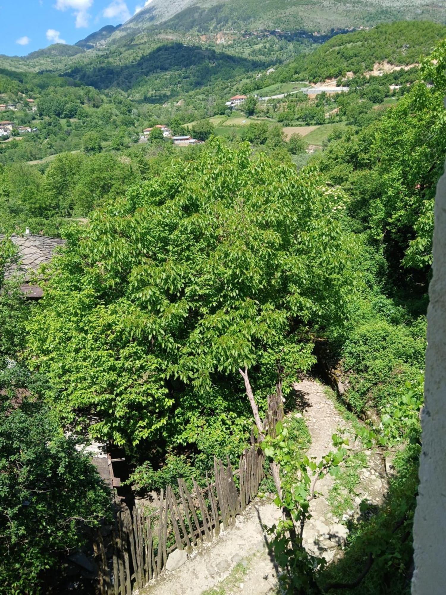 Bujtina Tusha Hotell Priska e Madhe Exteriör bild